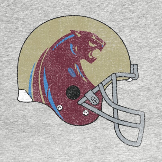 Michigan Panthers Vintage by HeyBeardMon